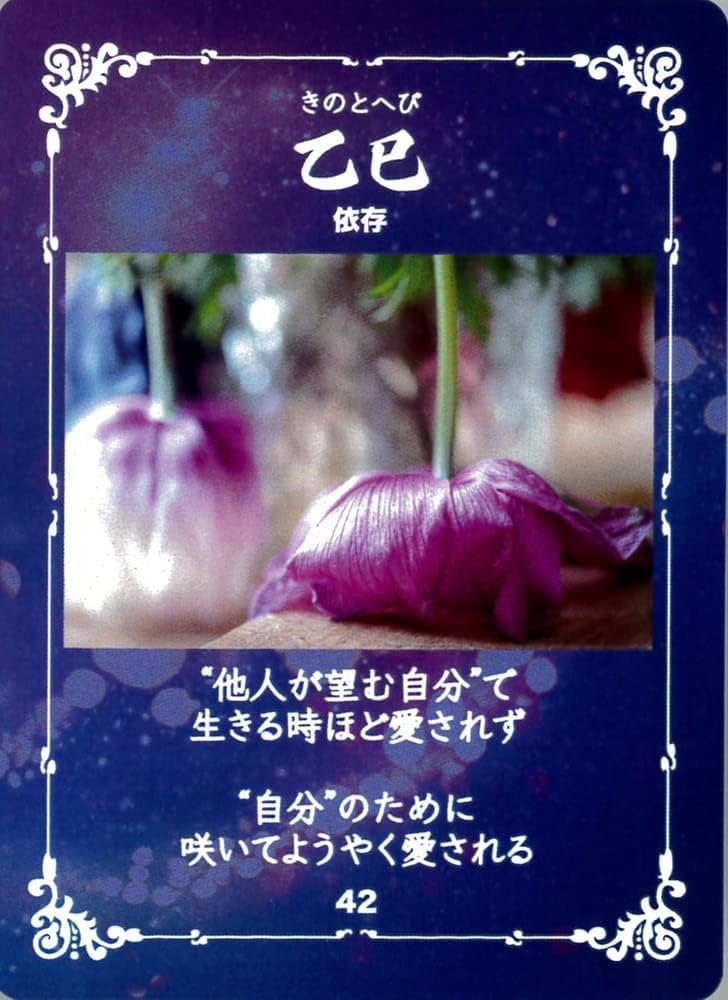 Amazon.co.jp: 干支オラクルカード vol.1 ｜ 煌めき四柱推命師